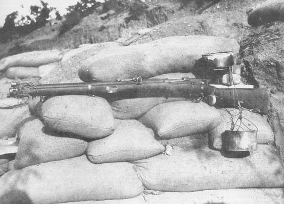 One of the automatic rifles
