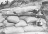 One of the automatic rifles
